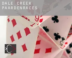 Dale Creek  paardenraces