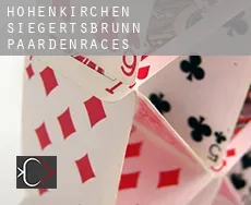 Höhenkirchen-Siegertsbrunn  paardenraces
