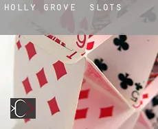 Holly Grove  slots