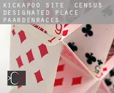 Kickapoo Site 1  paardenraces