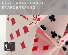 Laveianan Court  paardenraces
