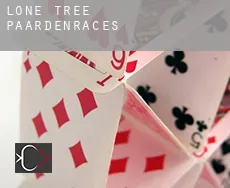 Lone Tree  paardenraces