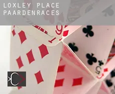 Loxley Place paardenraces