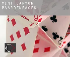 Mint Canyon  paardenraces