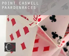 Point Caswell  paardenraces