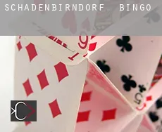 Schadenbirndorf bingo