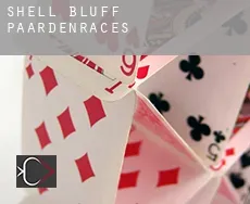 Shell Bluff  paardenraces