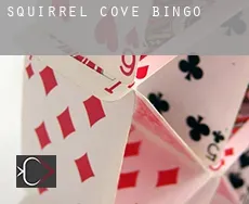 Squirrel Cove  bingo