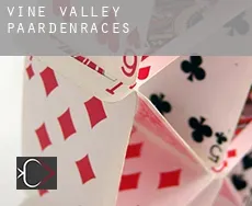 Vine Valley  paardenraces