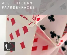 West Haddam paardenraces