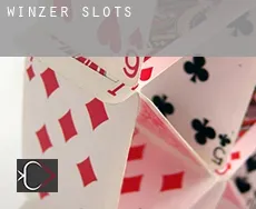 Winzer slots