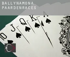 Ballynamona paardenraces