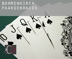 Böhmenkirch  paardenraces