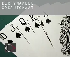 Derrynameel  gokautomaat
