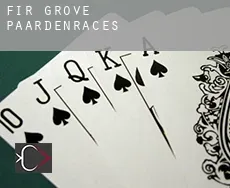 Fir Grove  paardenraces