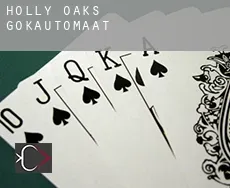 Holly Oaks gokautomaat