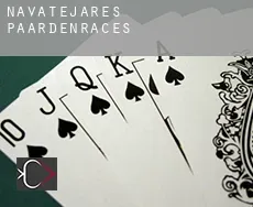 Navatejares  paardenraces