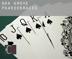 Oak Grove  paardenraces