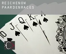 Reichenow  paardenraces