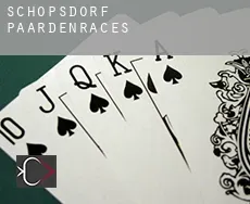Schöpsdorf paardenraces