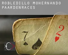 Robledillo de Mohernando  paardenraces