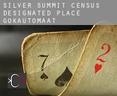 Silver Summit gokautomaat