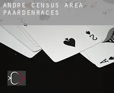 André (census area)  paardenraces