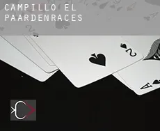 Campillo (El) paardenraces