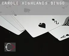 Carole Highlands  bingo