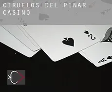 Ciruelos del Pinar  casino