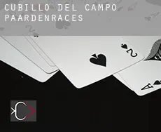 Cubillo del Campo paardenraces