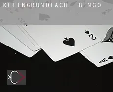 Kleingründlach  bingo