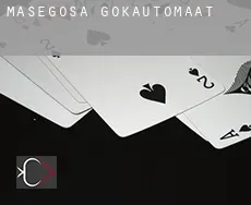 Masegosa  gokautomaat