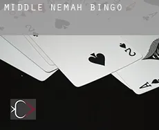 Middle Nemah  bingo
