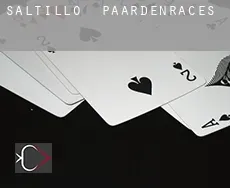 Saltillo paardenraces