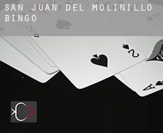 San Juan del Molinillo  bingo