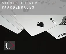 Skunks Corner  paardenraces