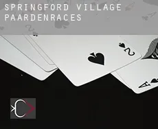 Springford Village paardenraces