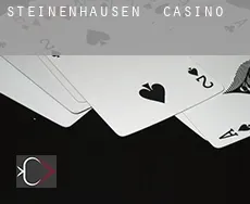 Steinenhausen casino