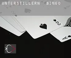 Unterstillern bingo