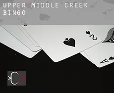 Upper Middle Creek  bingo