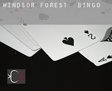 Windsor Forest  bingo
