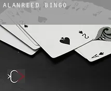 Alanreed  bingo