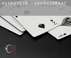 Auenstein  gokautomaat