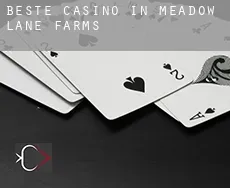 Beste casino in  Meadow Lane Farms