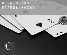 Burrington  paardenraces