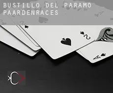 Bustillo del Páramo paardenraces