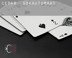Cedar  gokautomaat