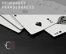 Drumdoney  paardenraces