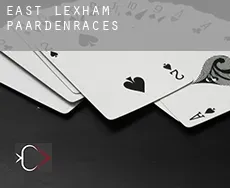 East Lexham  paardenraces